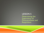 Unit C 4-5 Determining the Importance of Photosynthesis and