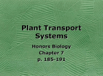 Plant Transport Systems - Clayton School District