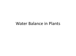 An organism usually exists in a state of gradients (  s