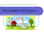 THE CARBON CYCLE - Issaquah Connect