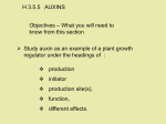 3.5.5.H Auxins - LC Biology 2012-2013