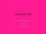 Calling All Cells