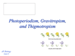 Photoperiodism, Gravitropism, and Thigmotropism - mvhs