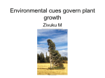 lecture 12 Plant growth_ Environmental cues