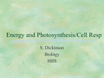 Energy and Photosynthesis