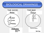 WHAT DO YOU KNOW ABOUT CELLS?