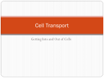 Cell Transport