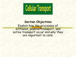 transport in cells enrichment level