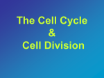 File - OCMS Science