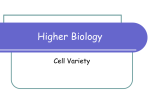 Cell Variety - eduBuzz.org