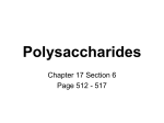 Polysaccharides