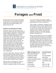 Forages Frost and