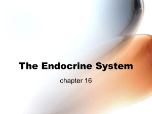 endocrine