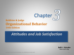 Robbins & Judge Organizational Behavior 13e