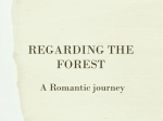 REGARDING THE FOREST