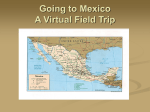 virtua lfield trip to mexico