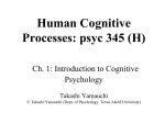 Human Cognitive Processes