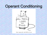 Operant Conditioning