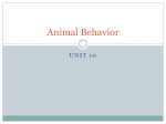 Animal Behavior