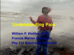 Understanding Pain - Francis Marion University
