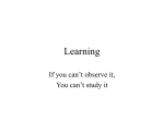 Classical Conditioning: The Elements of Associative Learning