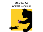 Chapter 34 Animal Behavior Biology / Lemmons