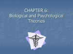 CHAPTER 6: Biological and Psychological Theories