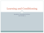 Learning and Conditioning Lecture 5