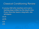 Classical Conditioning Review