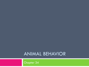 Animal Behavior - Southern Wayne High