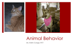 Animal Behavior - Ms. Canga`s page