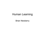 Human Learning - Study On The Beach