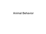 Animal Behavior - Phillips Scientific Methods
