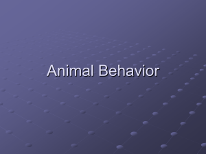 Animal Behavior 09