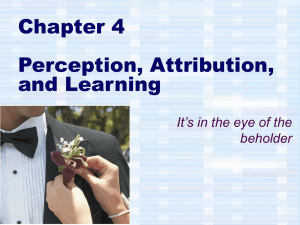 Chapter 4 Perception, Attribution, and Learning