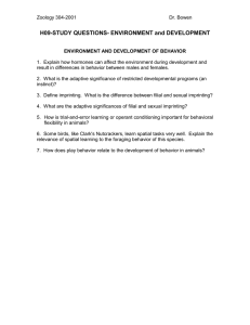 H09-STUDY QUESTIONS- ENVIRONMENT and DEVELOPMENT