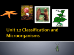 Unit 9 Classification and Microorganisms