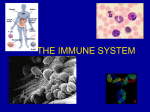 THE IMMUNE SYSTEM