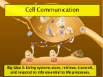 Cell Communication - Downtown Magnets High School