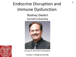 Endocrine Disruption and Immune Dysfunction