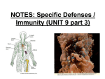 NOTES: Specific Defenses / Immunity (Ch 14, part 3)