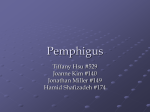 Pemphigus pathogenesis - Welcome!