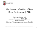 Mechanism of action of Low Dose Naltrexone (LDN)