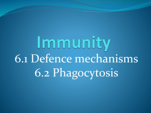 Immunity