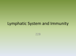 Lymphatic System and Immunity