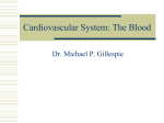 Cardiovascular System: The Blood