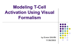Modeling Cellular Activation Using Visual Formalism