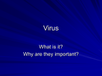 Virus Notes
