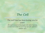 The Cell