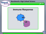 Immune Responses